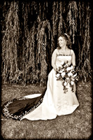 Gayle and Randy Wedding Preview